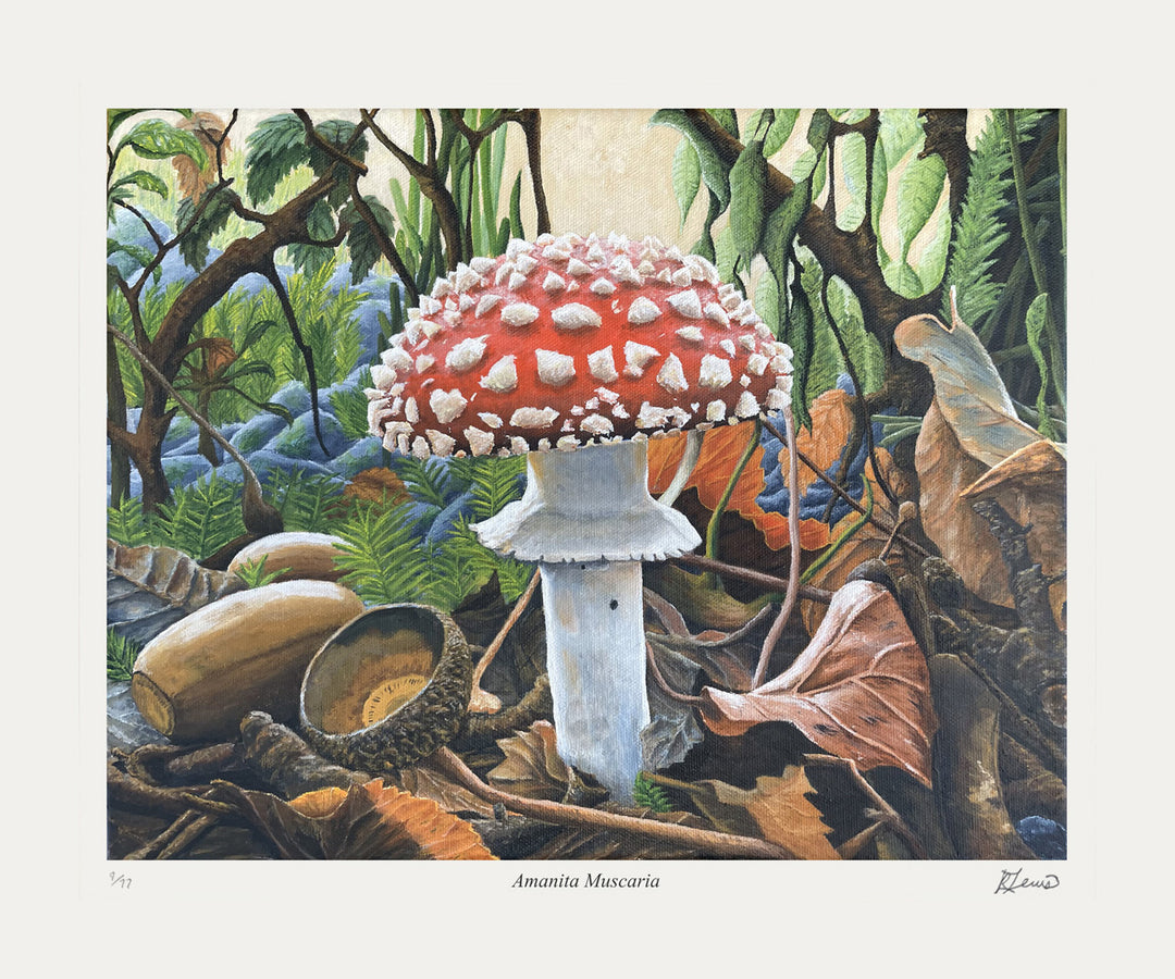 "Amanita Muscaria" Limited Of 77 Art Print By Ryan Lewis, Modern Art, Canadian Art, Art, Autographed, Signed, AAAPA33130