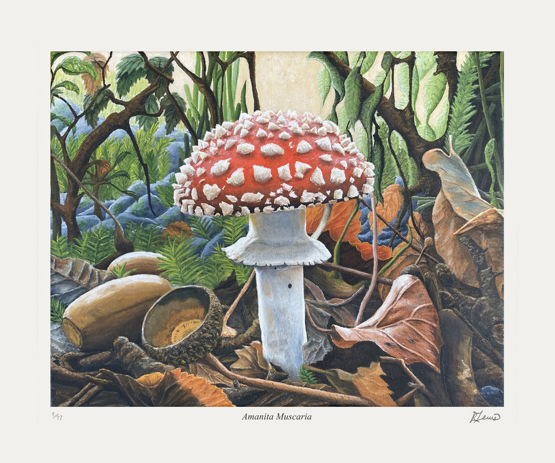 "Amanita Muscaria" Limited Of 77 Art Print By Ryan Lewis (20" By 16.5"), Modern Art, Canadian Art, Art, Autographed, Signed, AAAPA33130