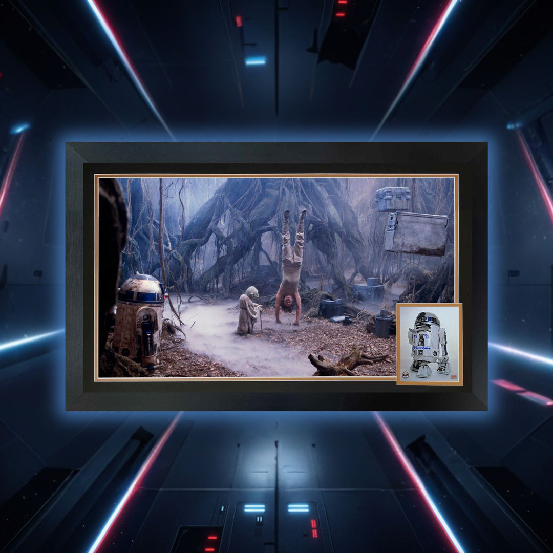 Kenny Baker Signed R2-D2 & Yoda Dagobah Framed  Star Wars Collectible 38"X28", Star Wars, Hollywood, Movie and Television, Autographed, Signed, AAOOCM33371