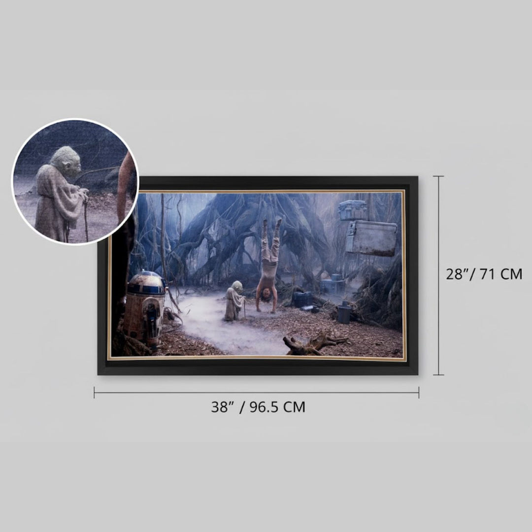 Kenny Baker Signed R2-D2 & Yoda Dagobah Framed  Star Wars Collectible 38"X28", Star Wars, Hollywood, Movie and Television, Autographed, Signed, AAOOCM33371