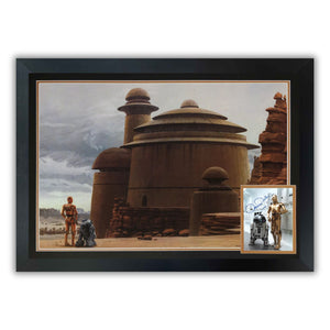 Descriptive image text