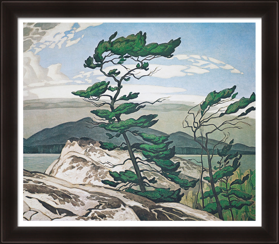 A.J. Casson Limited Edition Group Of Seven "White Pine" Framed Art Print, Group of Seven Canadian Artists, Canadian Art, Art, Collectibile Memorabilia, AAAPA32448
