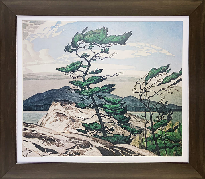 A.J. Casson Group Of Seven "White Pine" Framed Art Print  28"X24", Group of Seven Canadian Artists, Canadian Art, Art, Collectibile Memorabilia, AAAPA32448