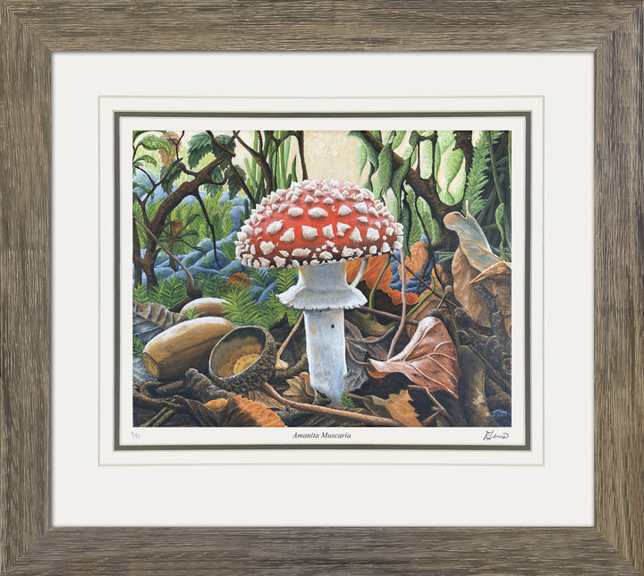 "Amanita Muscaria" Limited Framed Art Print By Ryan Lewis, Modern Art, Canadian Art, Art, Autographed, Signed, AAAPA33129