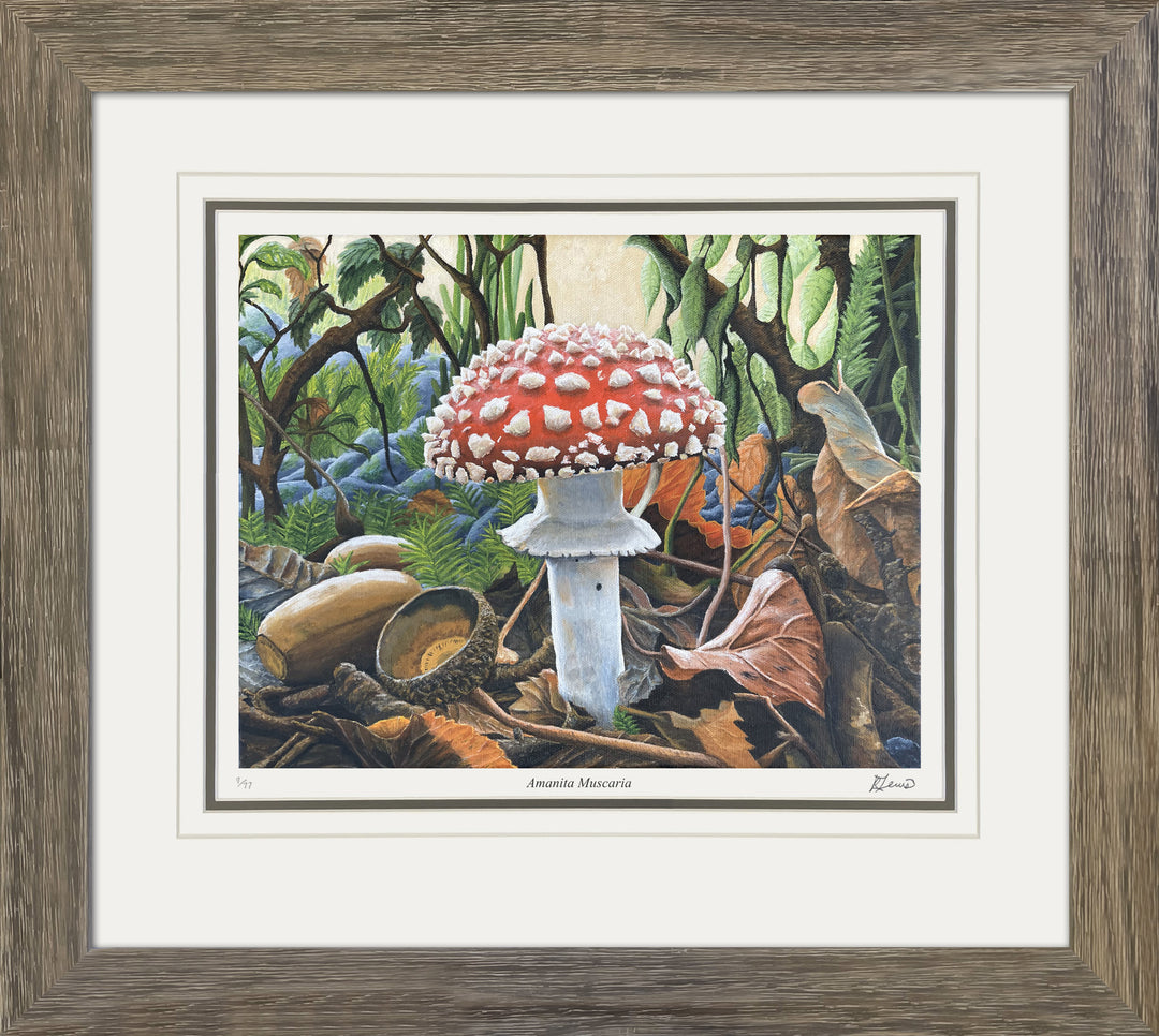 "Amanita Muscaria" Limited Framed Art Print By Ryan Lewis (31" By 24"), Modern Art, Canadian Art, Art, Autographed, Signed, AAAPA33129
